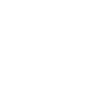 Favicon white